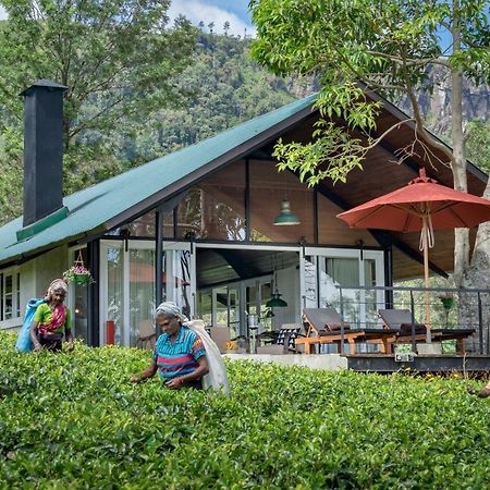 Madulkelle Tea&Eco Lodge Kandy Exterior foto