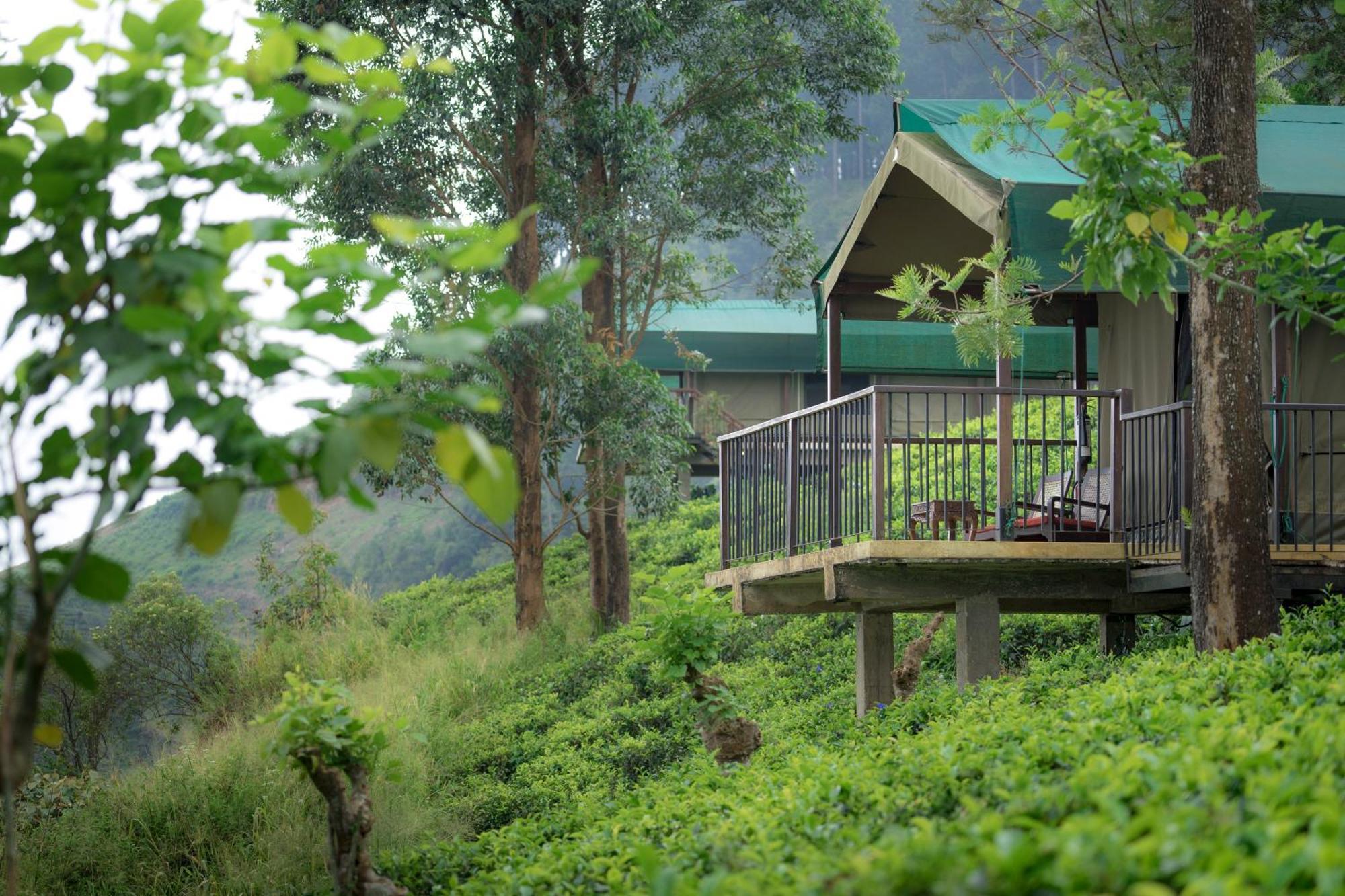 Madulkelle Tea&Eco Lodge Kandy Exterior foto