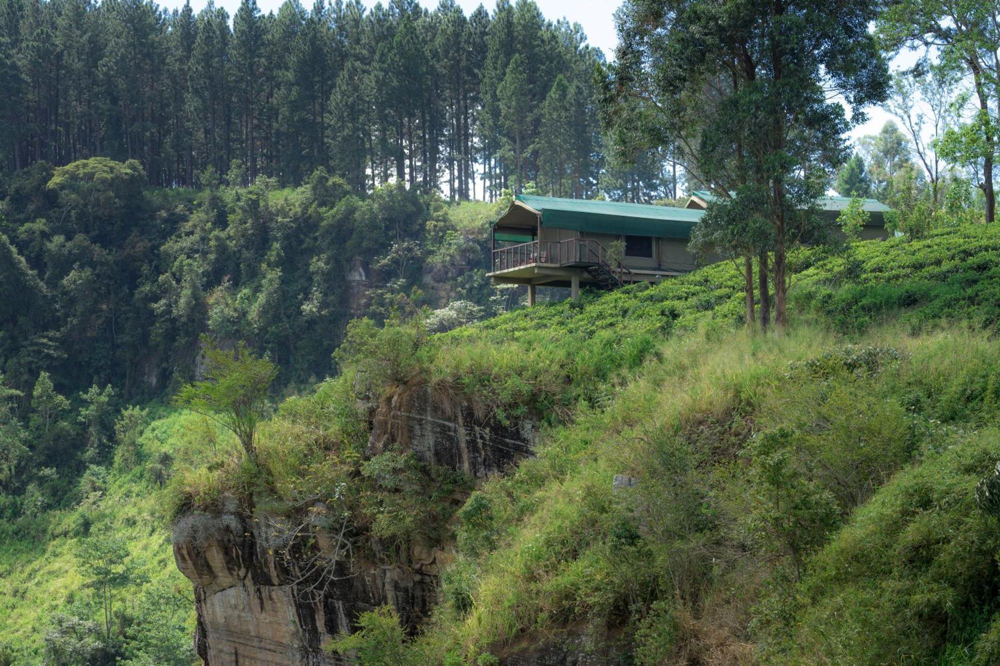 Madulkelle Tea&Eco Lodge Kandy Exterior foto